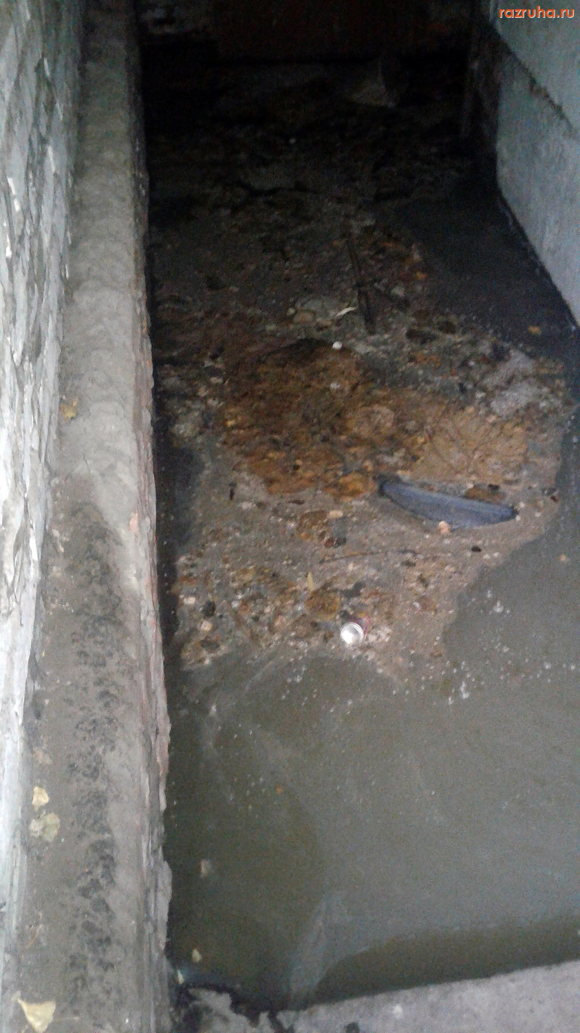 Курск - Залило подвал