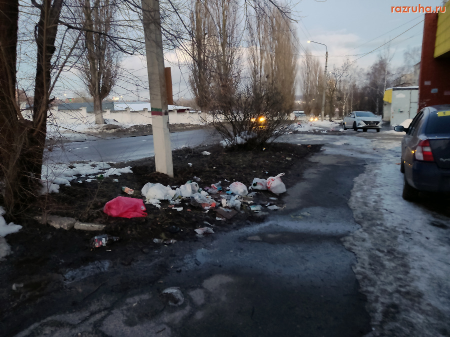 Курск - Нагадили на улице