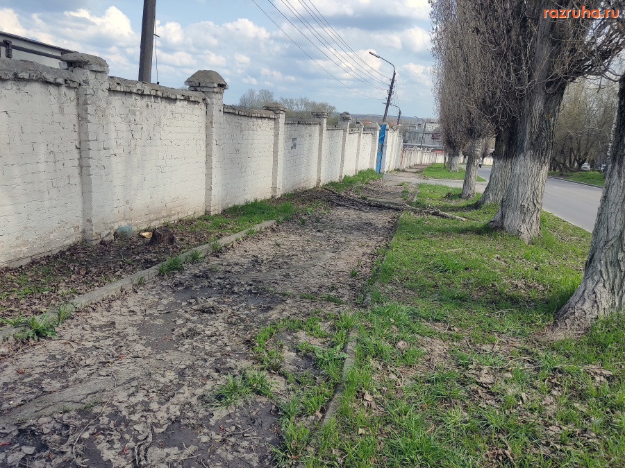 Курск - Болото на тротуаре