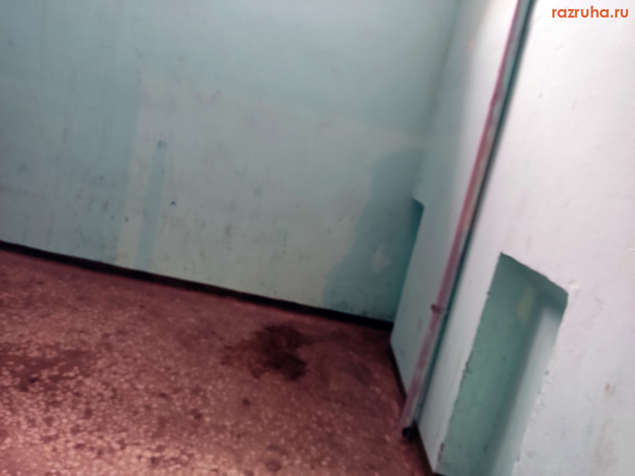 Курск - Обзор подъезда