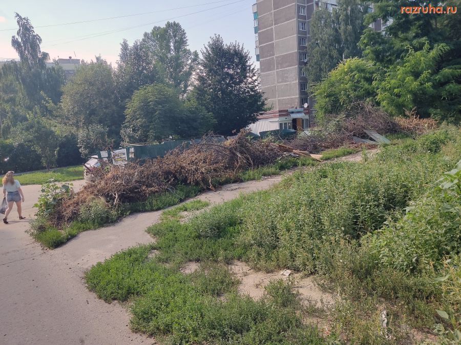 Курск - Ветки у помойки