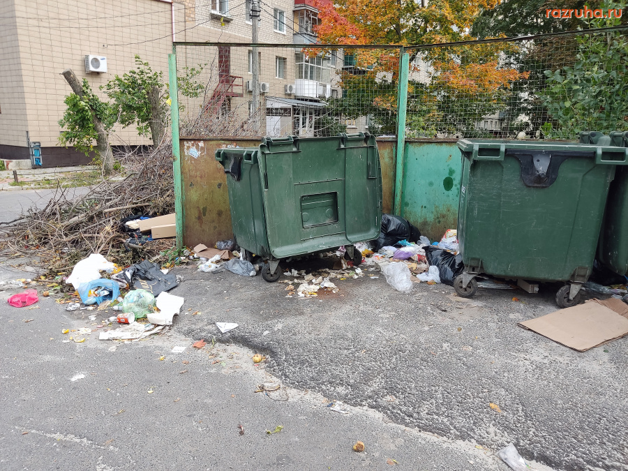 Курск - Помойная грязь