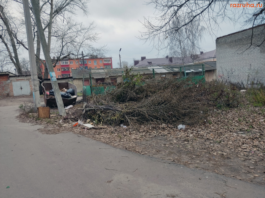 Курск - Куча у помойки