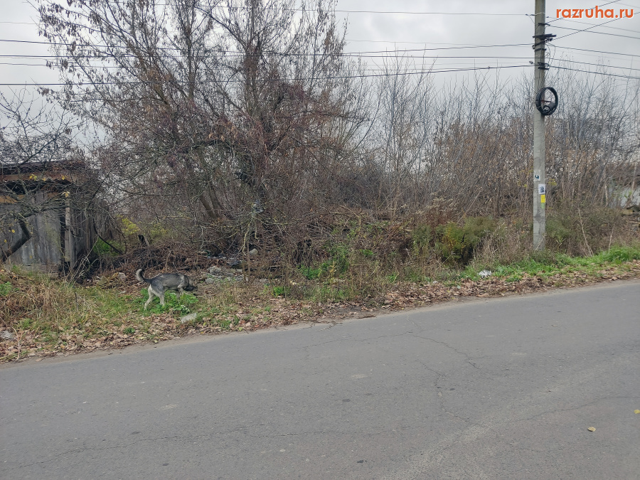 Курск - Пустырь