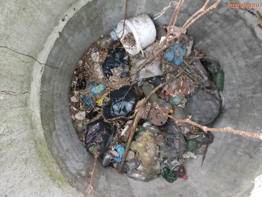 Курск - Люк под деревом