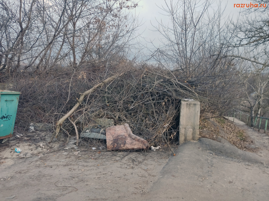 Курск - Куча веток