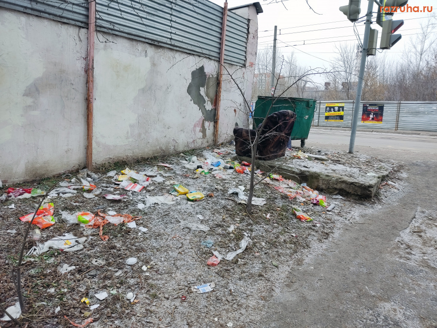 Курск - Возле мусорного ящика