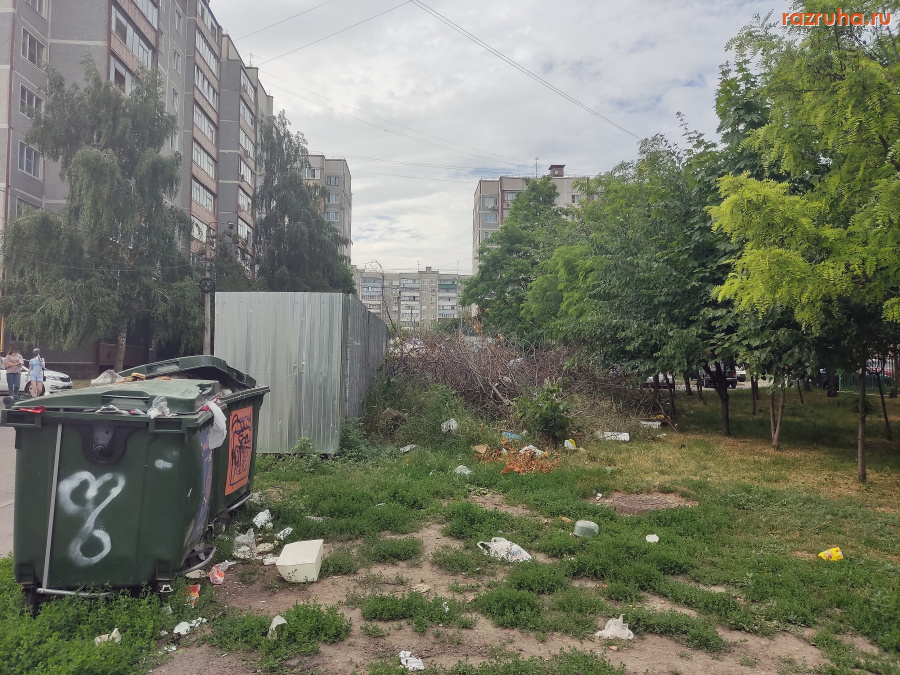 Курск - Ветки у помойки