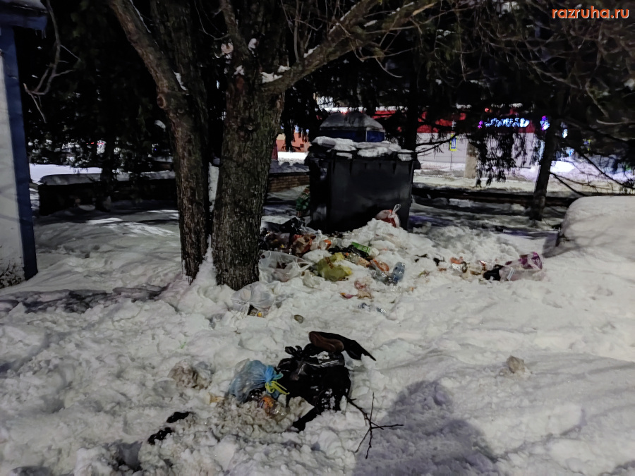 Курск - Мусорный ящик