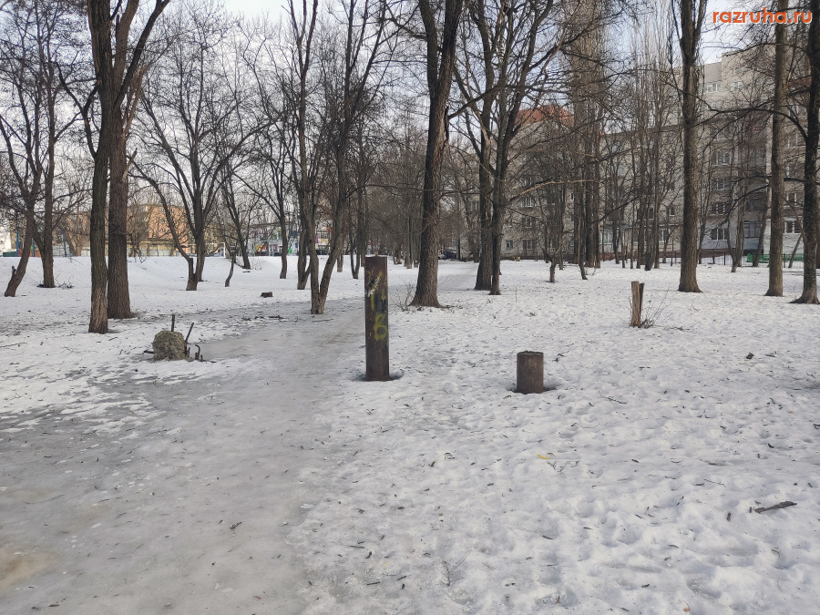 Курск - Торчит