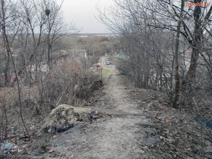 Курск - Дерево всковырнуло лестницу