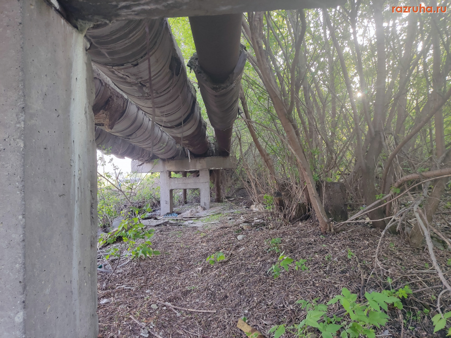 Курск - Возле туалета