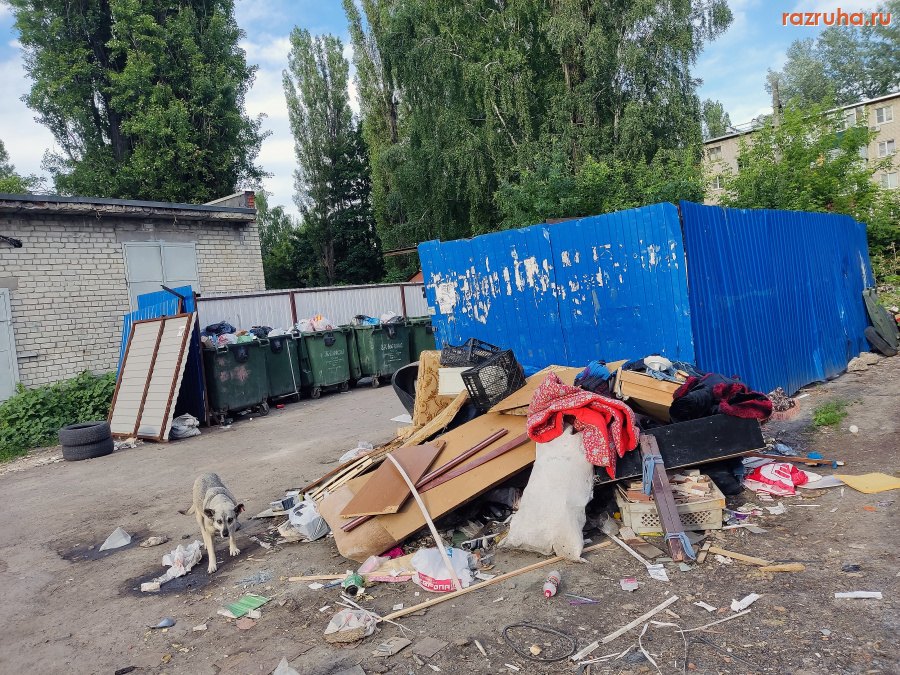 Курск - Помойка