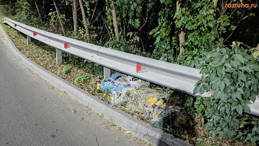 Курск - Мусор на обочине