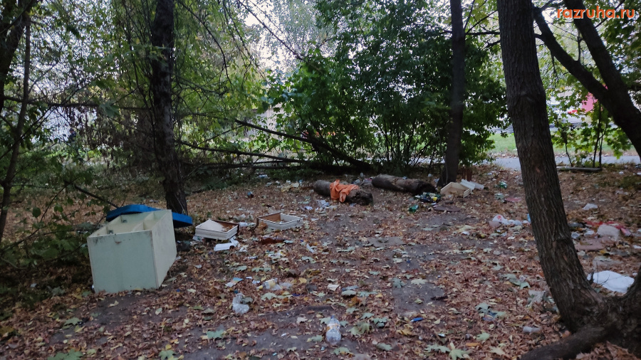 Курск - Место пикника