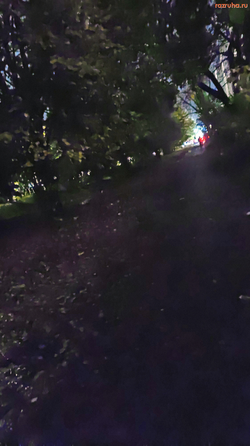 Курск - Темнота