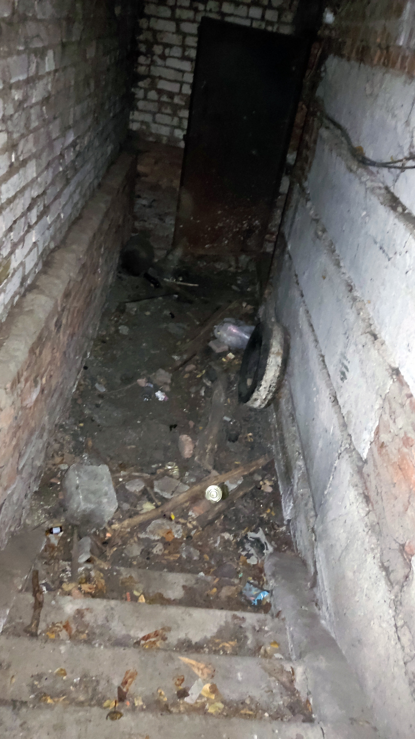 Курск - В вонючем подвале