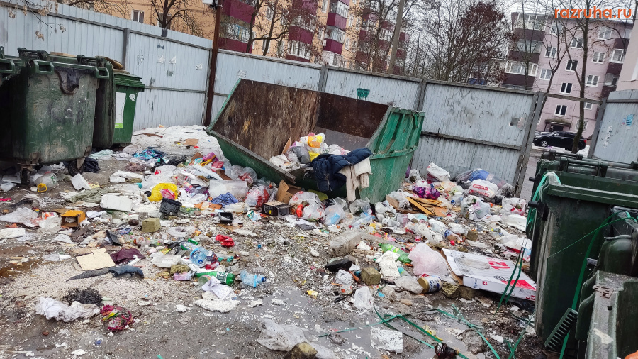 Курск - Вокруг ящика