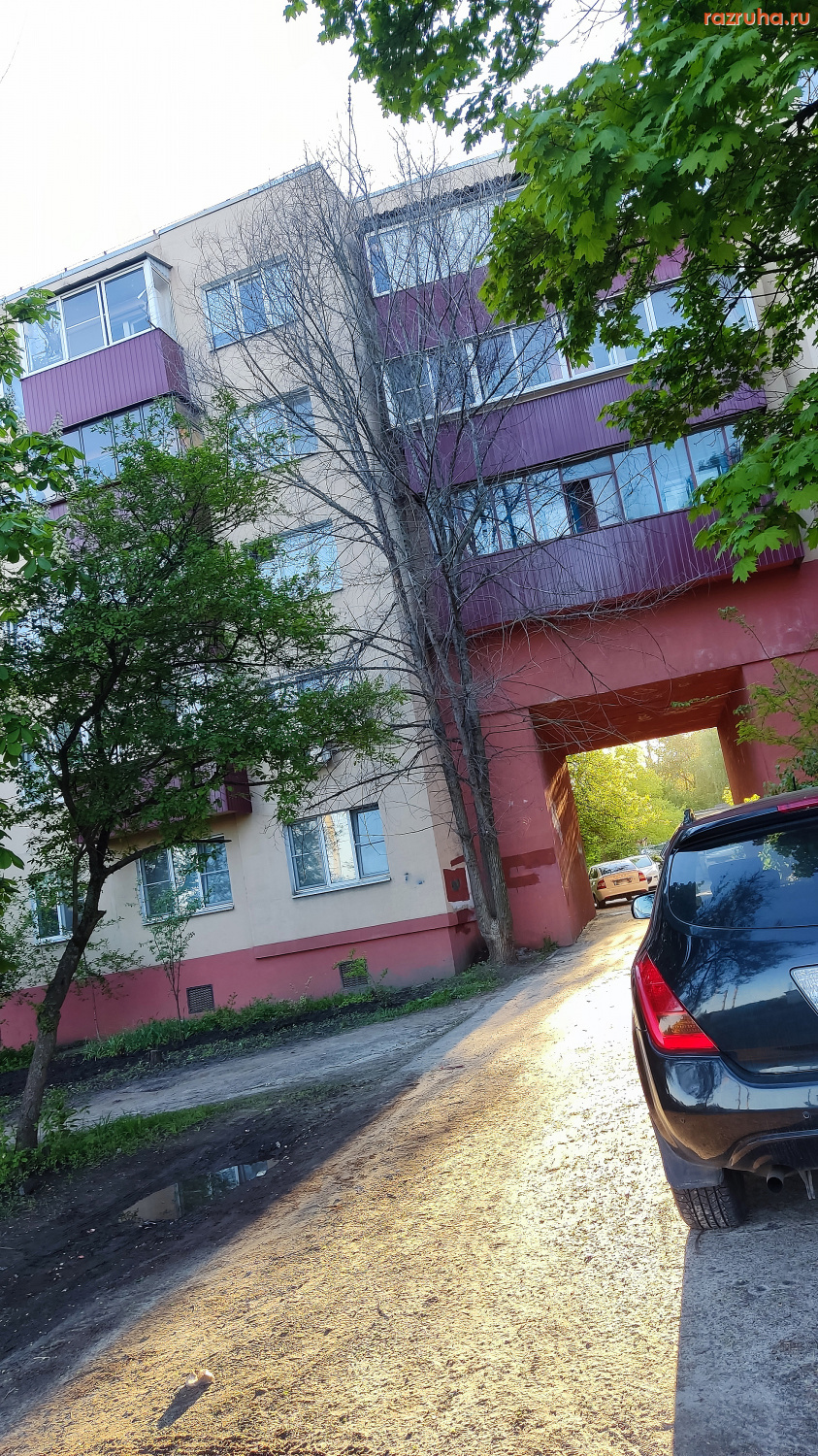 Курск - Высохшее дерево