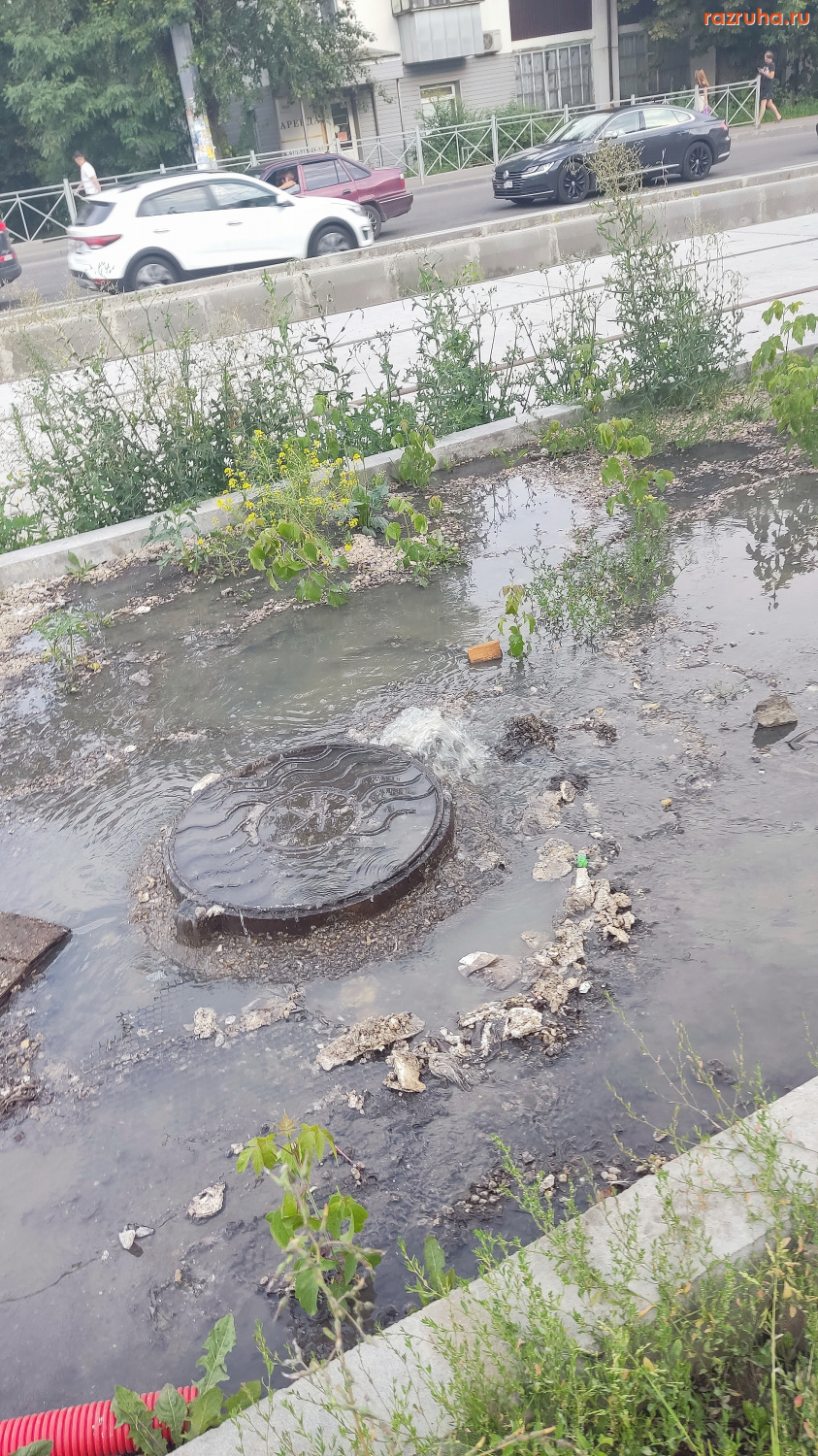 Курск - Люк на остановке