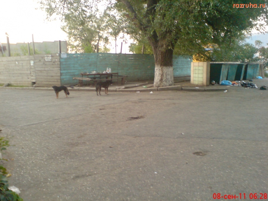 Махачкала - Мусор после пьянки