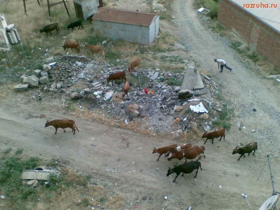 Махачкала - вид с окна