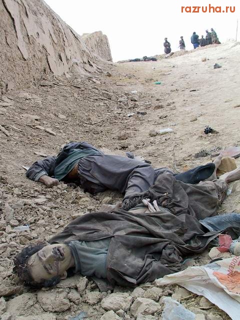 Махачкала - умер и лижи