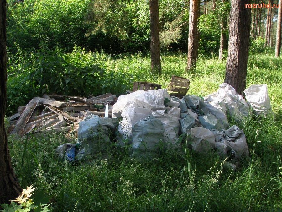 Московская область - леса России