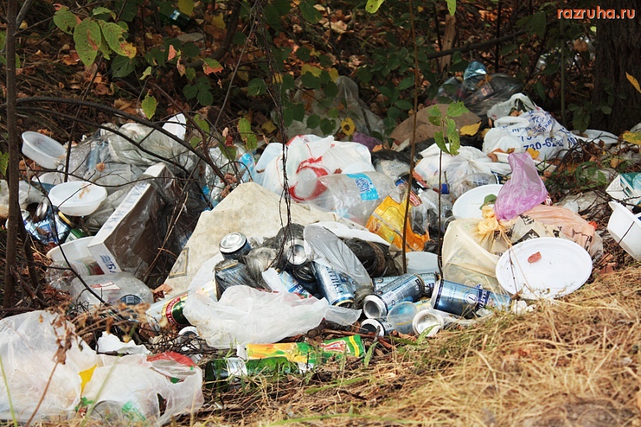 Московская область - Можайское водохранилище