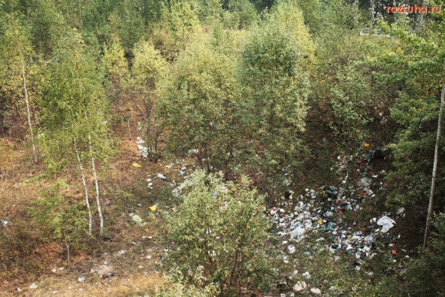 Московская область - Можайское водохранилище