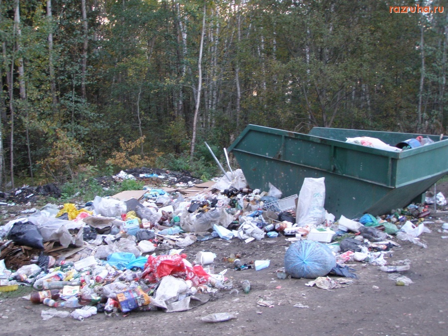 Московская область - Нашараша