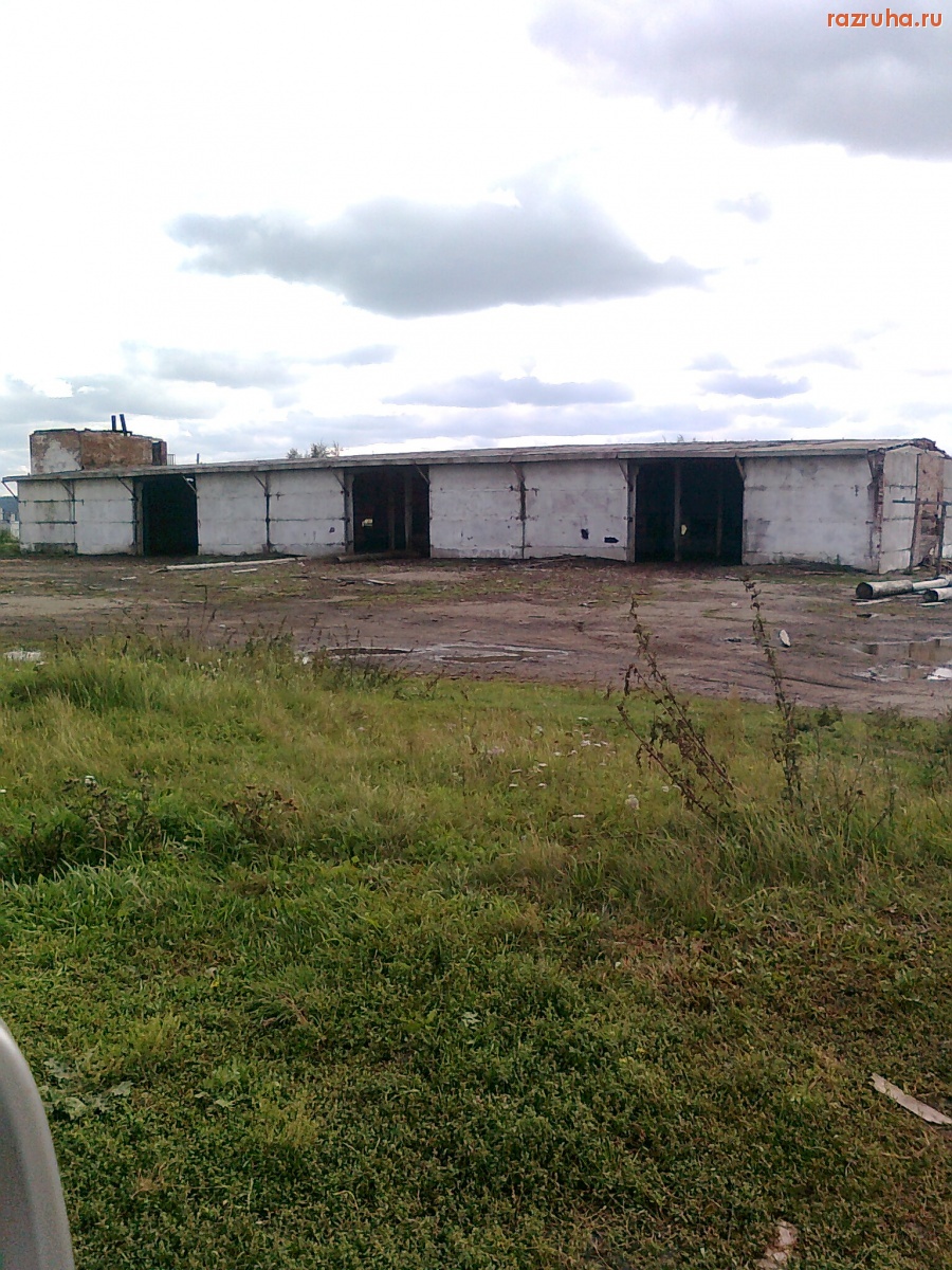 Залари - п. Залари семенной комплекс