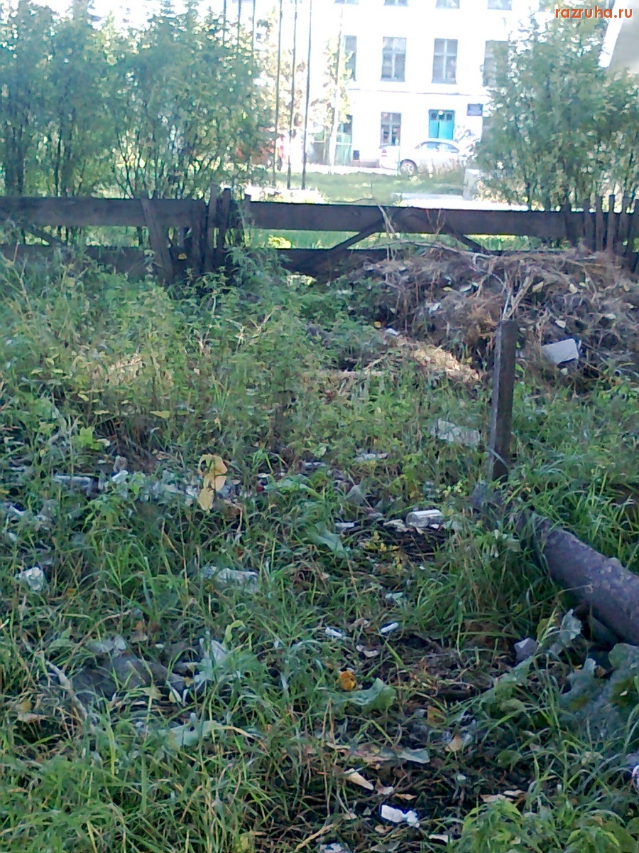 Залари - Школьный сквер п. Залари. Крик о помощи!!!