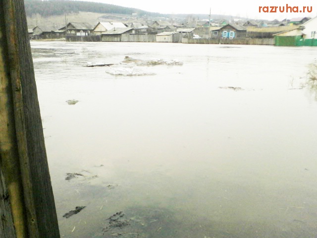 Залари - 12.04.2012 г.