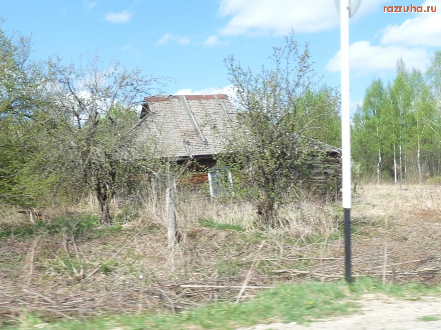 Калужская область - Дудоровские заросли