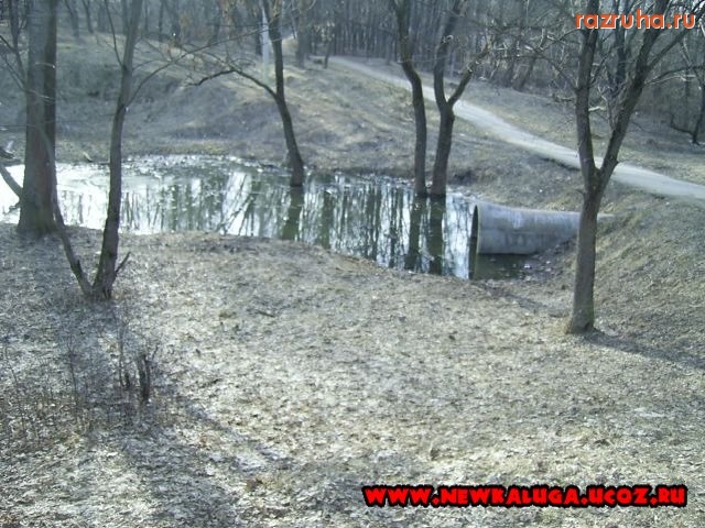 Калуга - Парк им. Г.К. Жукова