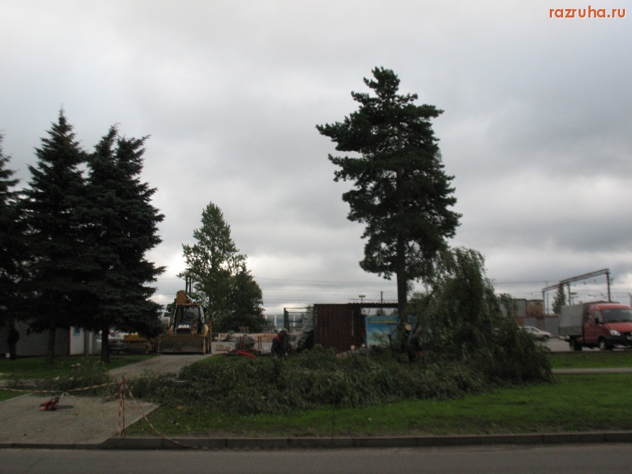 Обнинск - Спиливание деревьев.