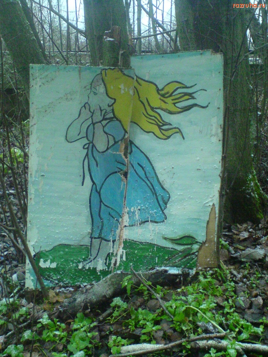 Обнинск - прогулка по лесу