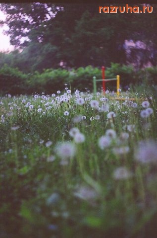 Обнинск - детская площадка 2