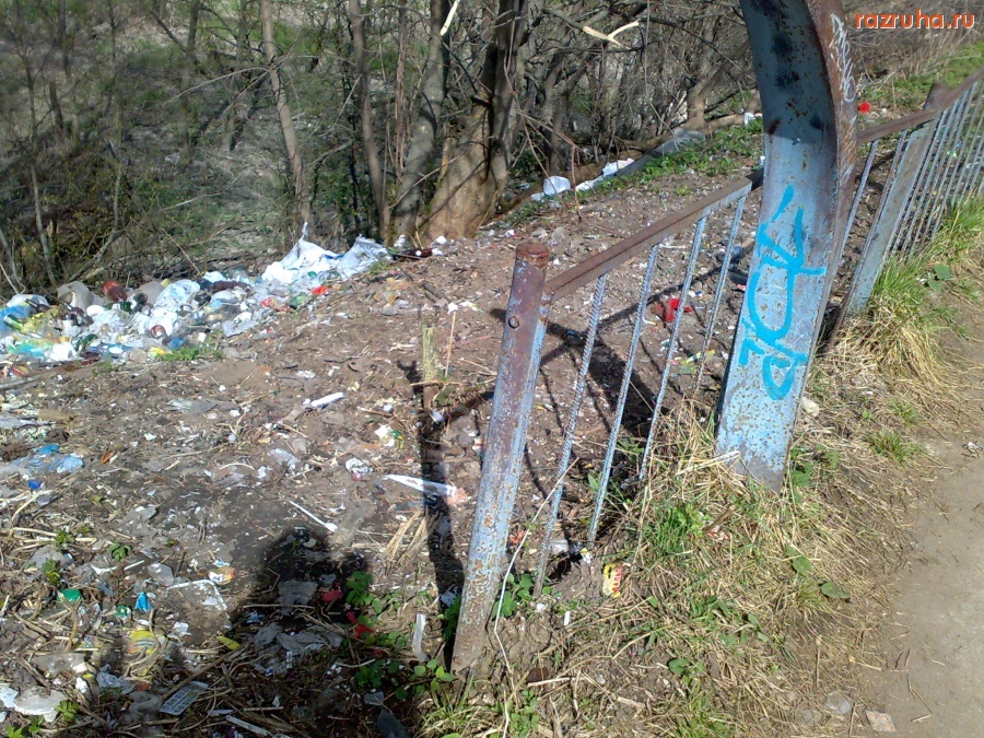 Дедовск - дорога в школу