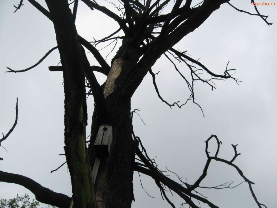 Малоярославец - Парк 