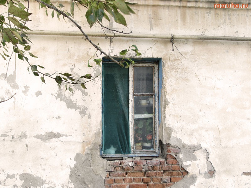 Малоярославец - Окно с котом