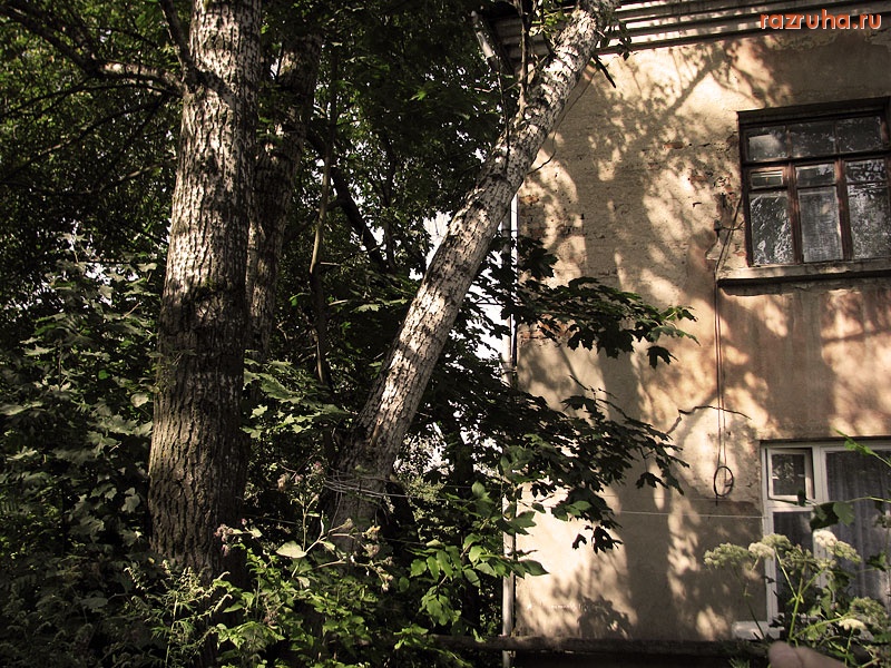 Малоярославец - Виды счастливого детства 3