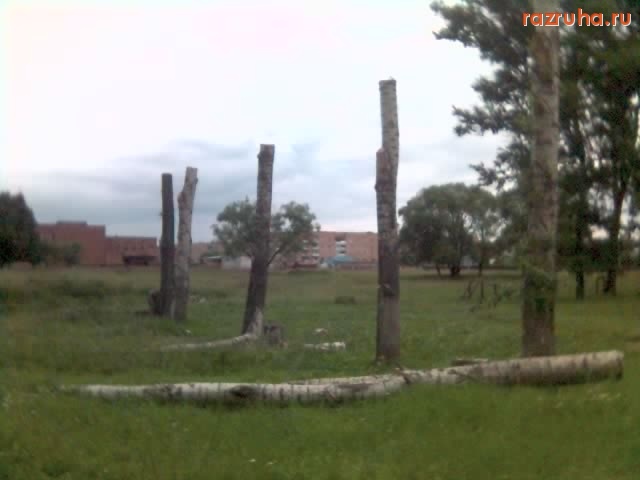 Товарково - Красота...