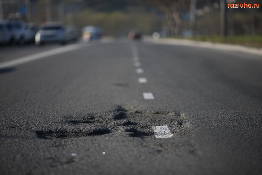 Петропавловск-Камчатский - Камчатка - тут по улицам ходят медведи!