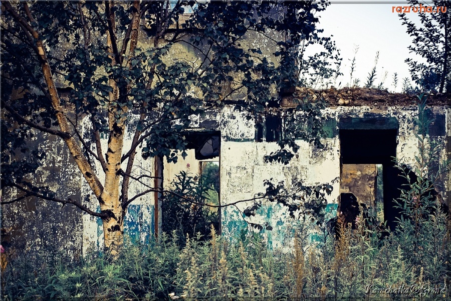 Петропавловск-Камчатский - Очередная сральня (репост)