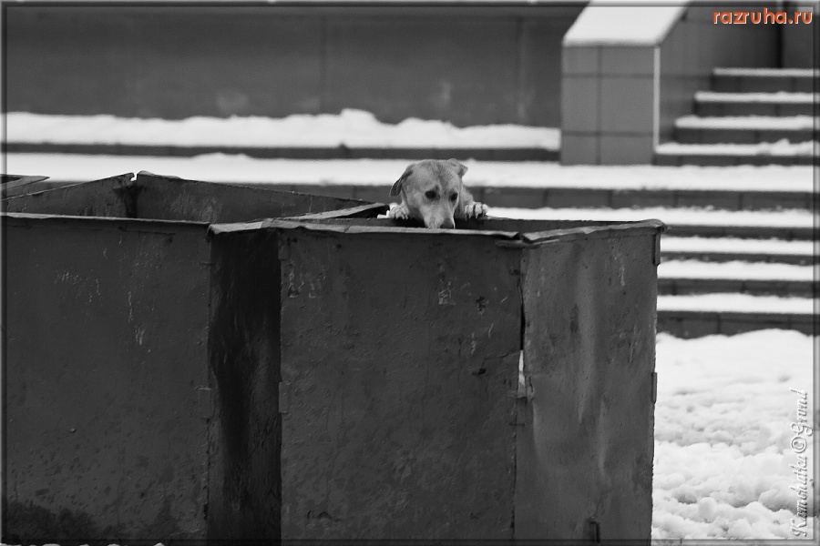 Петропавловск-Камчатский - Есть чё!?? :)