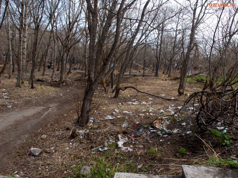 Петропавловск-Камчатский - парк