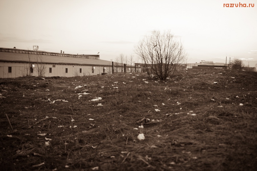 Петропавловск-Камчатский - снег сошел..