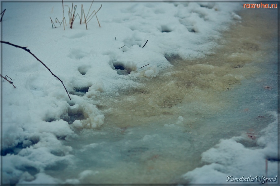 Петропавловск-Камчатский - Очередная ссальня! :)